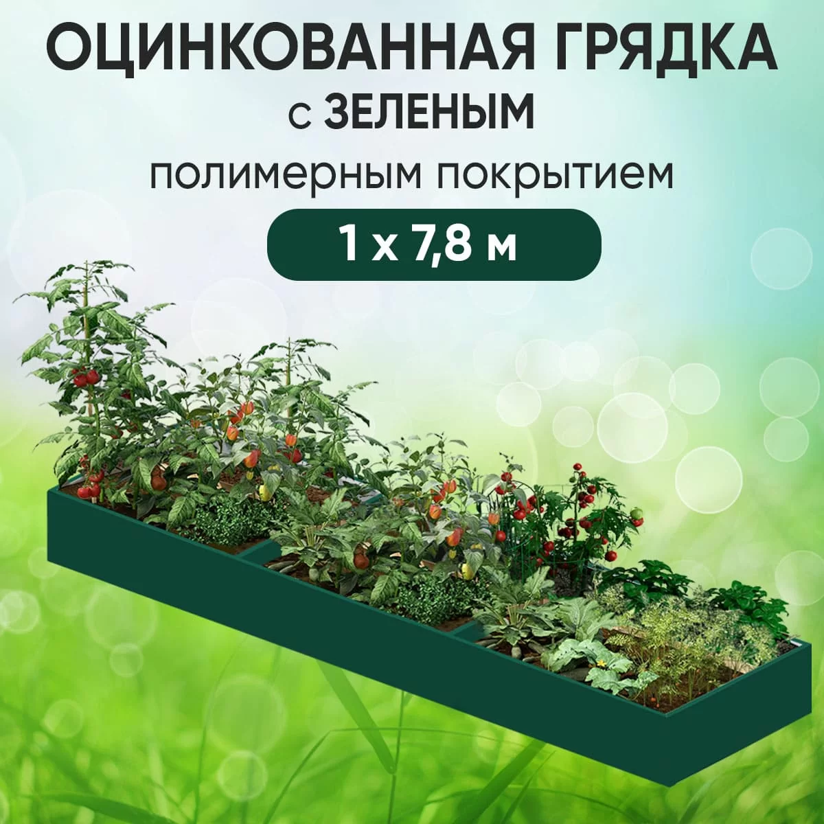 Грядка зеленая (1 х 7,8)