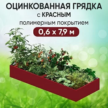 Грядка красная (0,6 х 7,9)