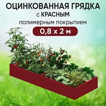 Грядка красная (0,8 х 2)